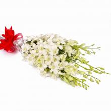 White Orchids Bunch